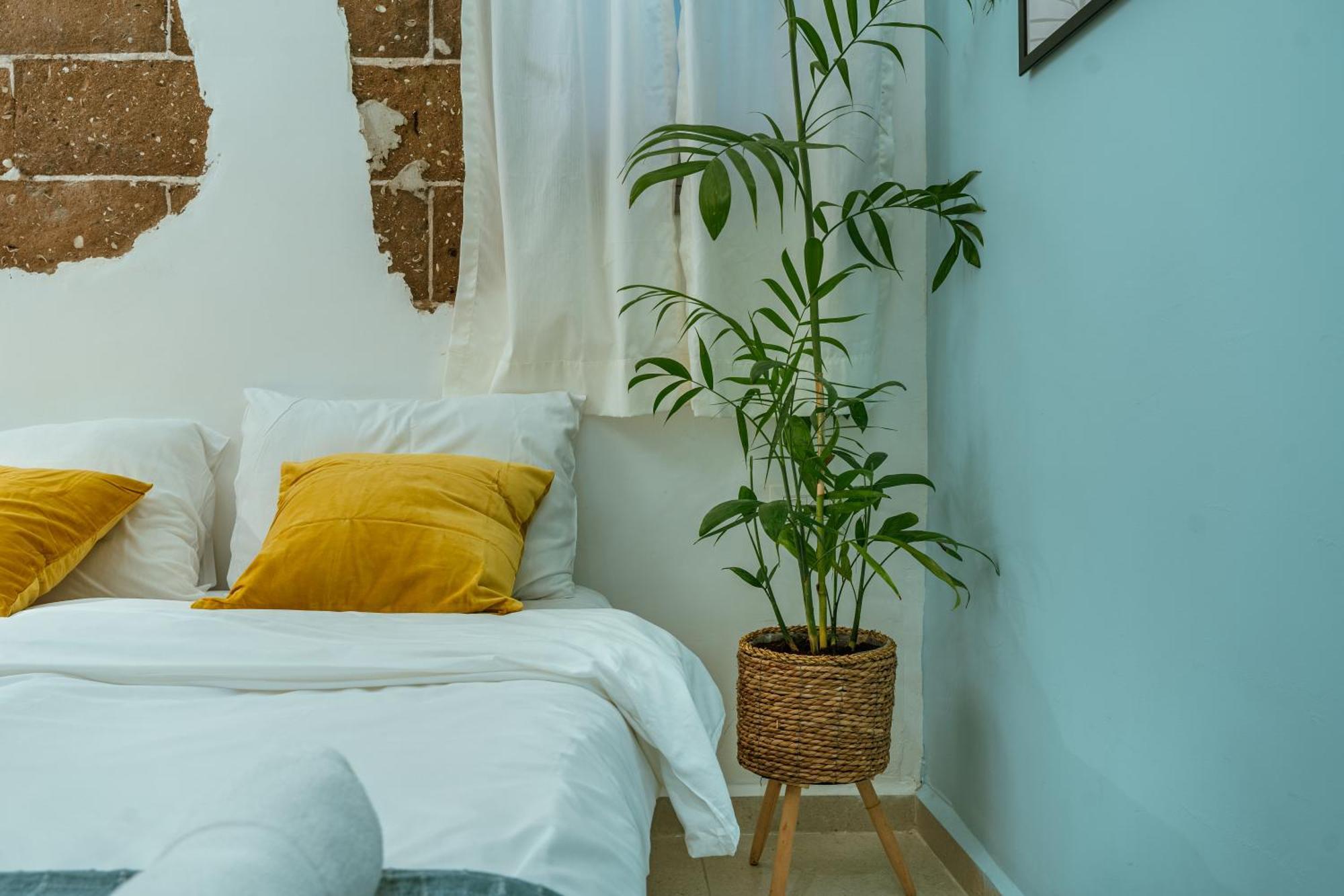 Jabitat- Jaffa Boutique Tlv Hotell Tel Aviv Exteriör bild